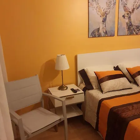 Ze Dos Quartos Vila Nova de Famalicão